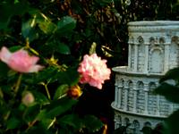 Pisa's Garden