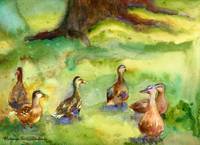 Duck Meadow, Animal Art, Watercolor Painting
