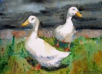 Ozzie and Harriet, White Duck Watercolor Painting