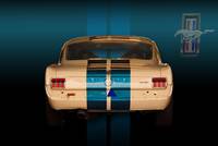Shelby Mustang