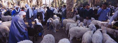 Group of people at a sheep market