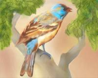 Bluebird in Tree by Leslie Harlow