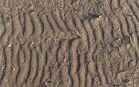 Pattern of Wind Driven Sand