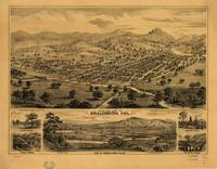 Bird's eye view of Healdsburg, California (1876)