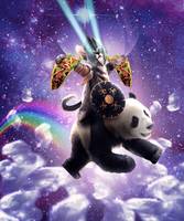 Lazer Warrior Space Cat Riding Panda With Taco
