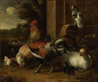 Melchior d'Hondecoeter~A Poultry Yard