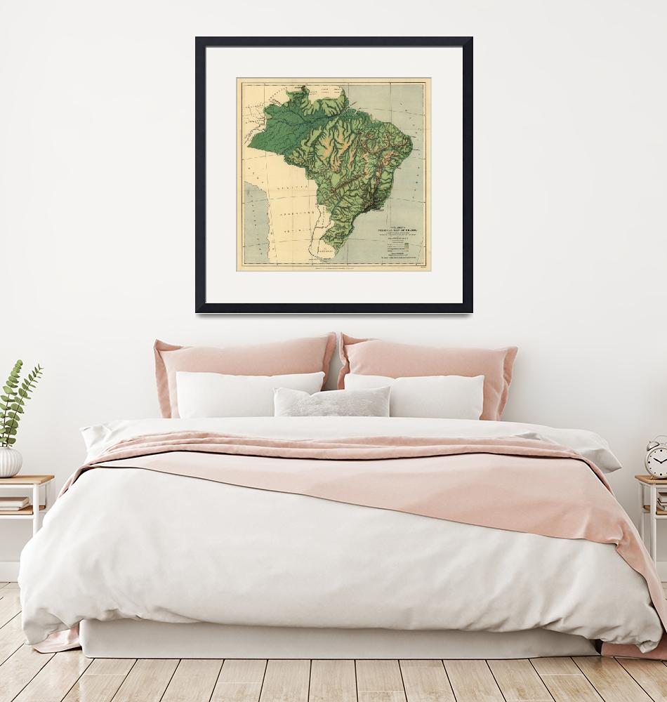 "Vintage Physical Map of Brazil (1886)"  by Alleycatshirts
