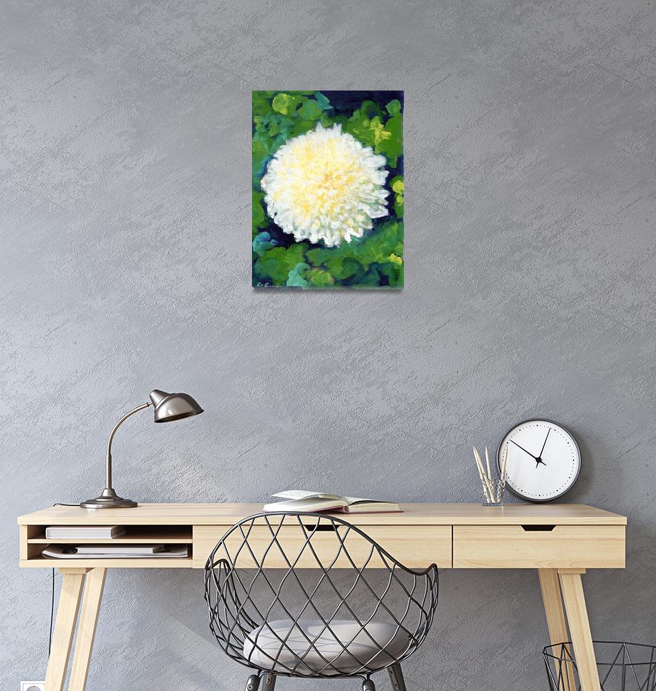 "White Chrysanthemum by RD Riccoboni"  (2009) by RDRiccoboni