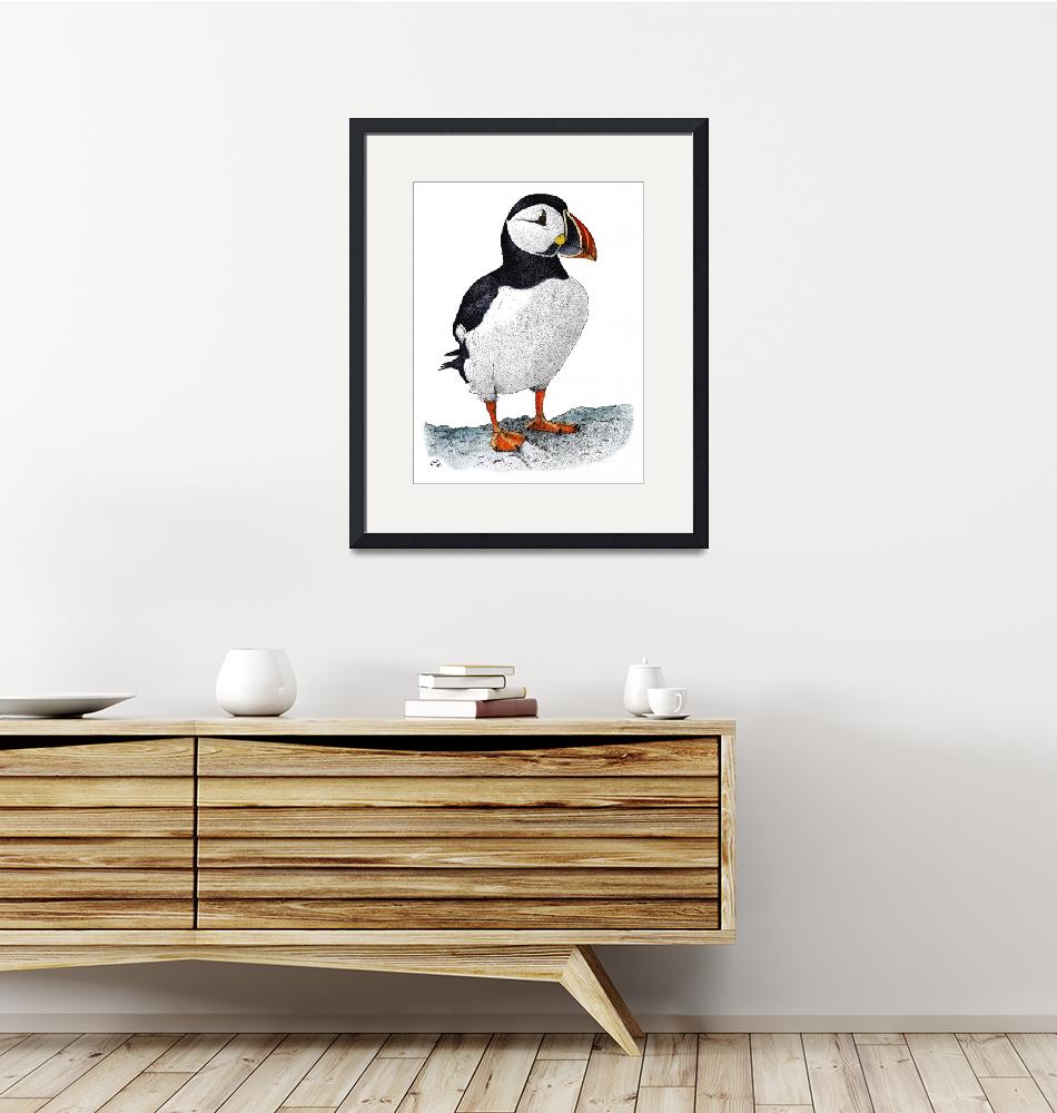 "Atlantic Puffin"  by inkart